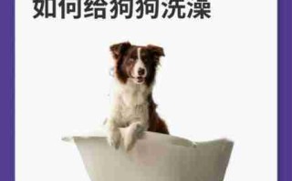 犬类洗澡时的注意事项 犬类洗澡时的注意事项是什么