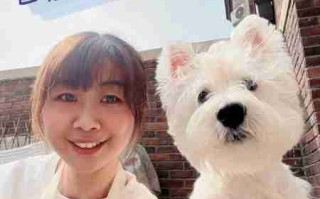 犬美容的基本手法 宠物狗狗美容教程视频