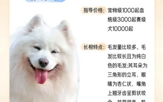 纯种萨摩耶犬多少钱一只，纯种的萨摩耶多少钱