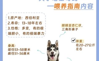 哈士奇幼犬喂食量，哈士奇幼犬喂食标准