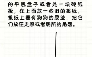 泰迪犬怎么训练大小便，泰迪怎么训练拉屎拉尿