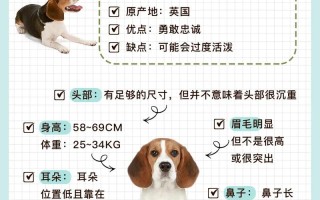 猎狐犬优缺点，猎狐犬适合家养吗