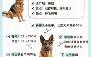 怎么选择德国牧羊犬，德国牧羊犬幼犬挑选视频