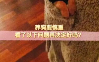 不想养狗了怎么处理？如何妥善处理这一决定