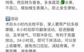 犬剖腹产后护理 狗狗剖宫产术后饮食