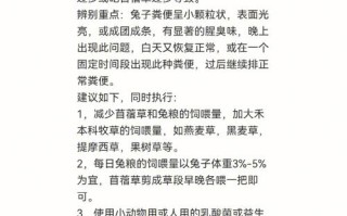 兔子拉稀怎么办吃什么药，兔子拉稀怎么办吃什么药好