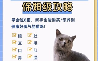 如何选一只健康的猫：选购指南及重要注意事项