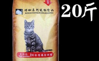 波斯猫吃什么水果好，波斯猫适合吃什么猫粮