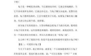 关于兔子一些基本介绍怎么写，兔子介绍50字左右说明