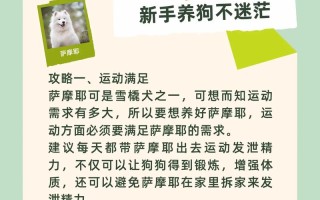 教你如何从小喂养萨摩耶，怎么喂萨摩耶