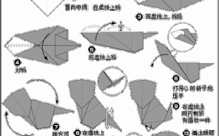 折耳猫基础训练方法及视频教程，折耳猫基础训练方法及视频教程大全