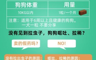 狗狗的驱虫药怎么喂？方法和注意事项解析