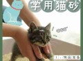 怎么训练猫使用猫砂？如何有效训练猫使用猫砂？