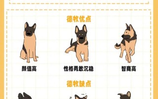 德国牧羊犬的优点与缺点，德国牧羊犬怎么样?