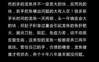 龙鱼如何饲养?，龙鱼的饲养方法和注意事项