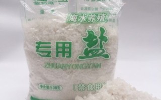 罗汉鱼换水需要加盐吗，罗汉鱼换水需要加盐吗