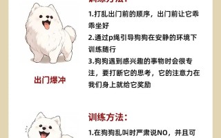 怎么训练萨摩耶幼犬咬主人，如何训练萨摩耶幼犬