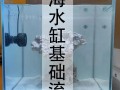 海水鱼买鱼过水入缸前怎么处理，海缸新鱼过水