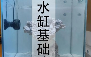 海水鱼买鱼过水入缸前怎么处理，海缸新鱼过水