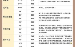 兔子各阶段喂料量，兔子饲喂量