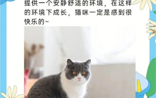 怎么能让猫咪记住自己的名字，5个简单方法