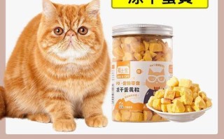 加菲猫吃什么零食，加菲猫吃什么?