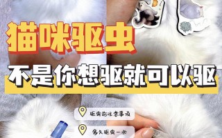 怎么给猫咪驱虫最有效又安全：确保猫咪健康的最佳方法