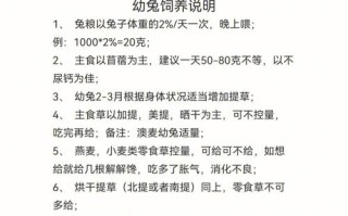 宠物兔子年龄对照表，宠物兔几岁成年