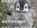 可爱呆萌会装死，你不知道的猪鼻蛇品系 可爱装死表情包