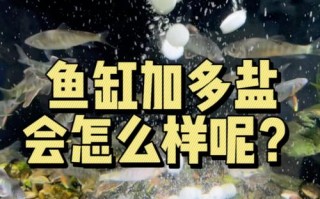 养鱼用盐怎么添加?，养鱼 加盐