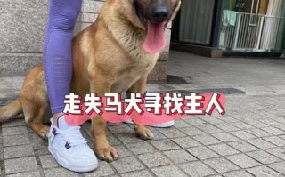 马犬为什么喜欢咬主人手，马犬为什么喜欢咬主人手指