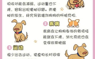 博美犬拉肚子怎么办不吃不喝，博美狗拉肚子怎么回事