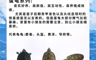 巴西龟养法大全，巴西龟的养法是怎么养的