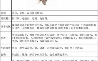 乌龟的生活和特点是什么?，乌龟的生活方式和特点