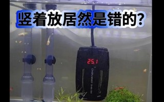 鱼缸加热棒推荐一下，鱼缸加热棒 推荐