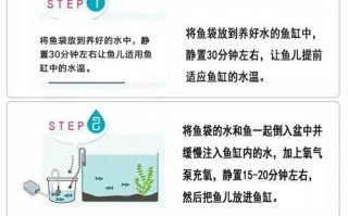 热带鱼换水怎么控制水温，热带鱼换水的时候应该怎样换