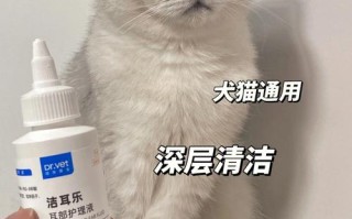 折耳猫耳朵里很多耳屎，折耳猫耳朵里很多耳屎怎么办