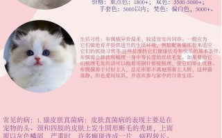 布偶猫吃什么营养膏好，布偶猫吃啥