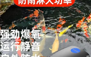 鱼池养鱼需要加氧泵吗，鱼池养鱼需要加氧泵吗为什么