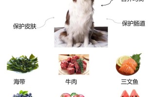 牧羊犬吃什么合适，牧羊犬主食吃什么