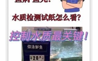 造成观赏鱼死亡的三大因素，家庭观赏鱼死亡的主要原因