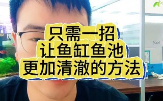 养鱼鱼缸的水质怎么调理好，鱼缸水质怎么保持干净