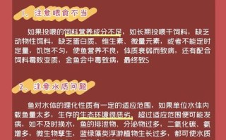 金鱼选购注意五项内容，金鱼选购注意五项内容有哪些