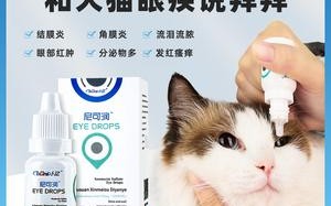 布偶猫眼睛发炎用什么药，布偶猫眼睛发炎用什么药好