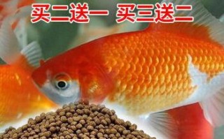 热带观赏鱼喂食用什么饲料，热带观赏鱼喂食用什么饲料最好