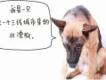 犬情感和意愿的8种表达方式 狗的情感表达的句子