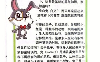 宠物兔子该怎么养才能养的好，宠物兔子的养殖技术及方法