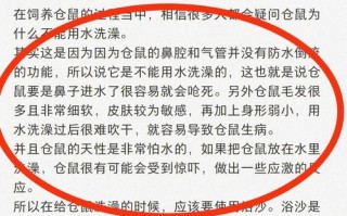 为什么仓鼠不能喝牛奶呢，为什么仓鼠不能喝自来水