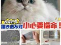 猫砂选不对，猫咪健康受损害！做好这件事避免猫膀胱发炎 猫砂有没有讲究