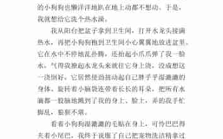 为狗狗洗澡超级享受15步 为狗狗洗澡超级享受150字作文